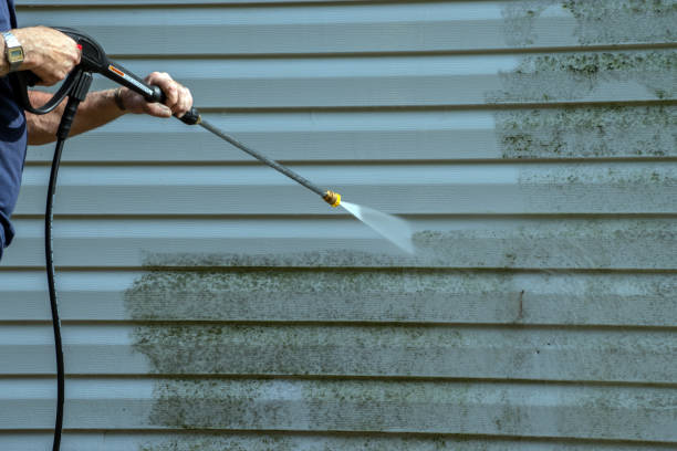 Best House Pressure Washing  in Burlington, WI